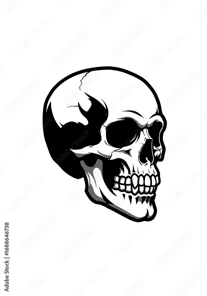 Fototapeta premium Silent Witness