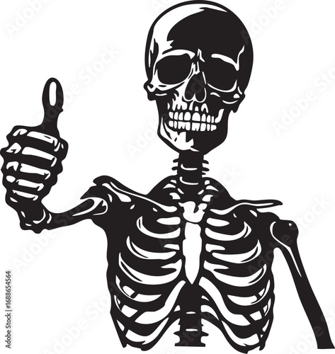 Funny thumbs up skeleton, a human skeleton mascot, and a scary Halloween character.

