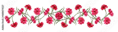 Red knapweed flowers in a l...
