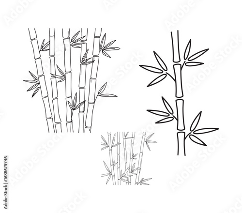 bamboo vector illustration