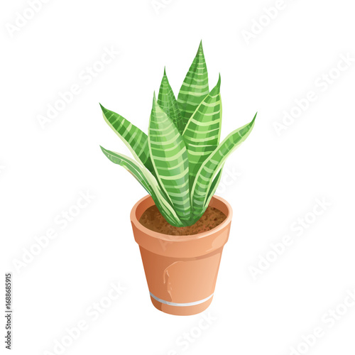 aloe vera plant in pot