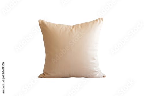 square throw pillow image on a plain transparent background.