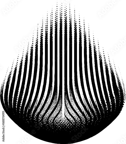 Abstract geometric teardrop design in black and white line art for modern visual projects
