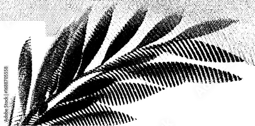 Black and white line art drawing of palm leaves in abstract style for elegant decor