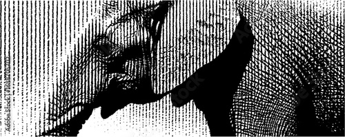 Black and white line art of elephant head in detailed style