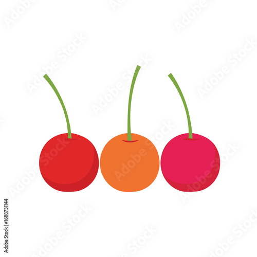 Vibrant trio of freshly picked sweet cherries displaying a spectrum of red and orange hues on delicate green stems