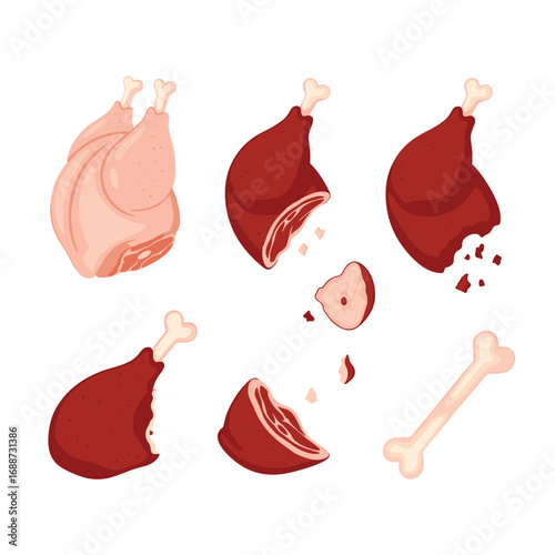Depiction of a raw chicken and several cooked meat pieces with a bone