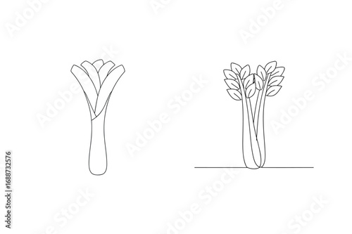Leek and celery continuous line drawing vegetable plant