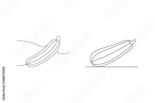 Minimalist continuous line drawing of two zucchini