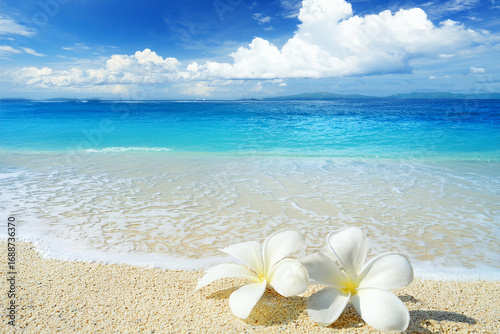 南国の青空とビーチ