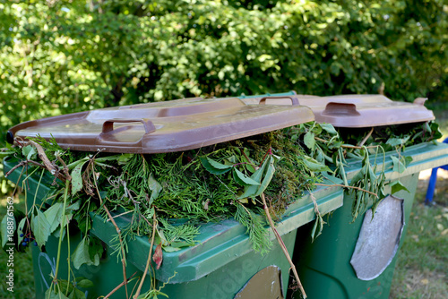 Fotografie Poubelles remplies de déchets verts de jardin