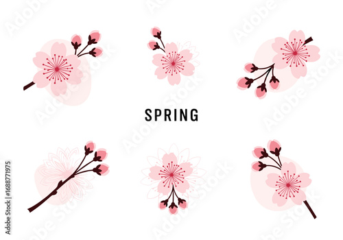 Beautiful pink cherry blossoms signifying the arrival of spring season in artistic illustrations