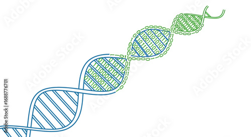 DNA Structure An artistic illustration showcasing the double helix arrangement of genetic information