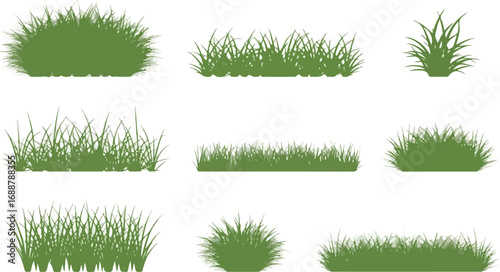 A collection of various grass tufts isolated on a white background