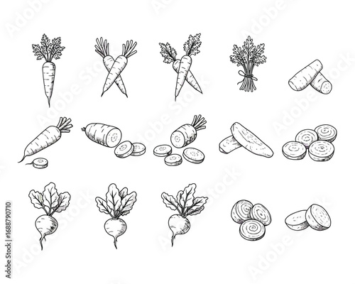 Collection of hand drawn black and white illustrations of various root vegetables and produce