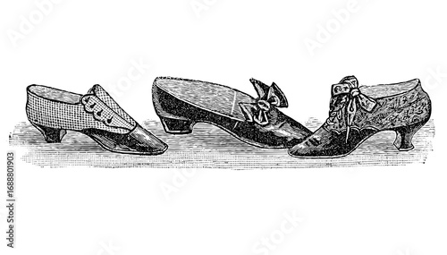 19th century fashion, 1900 fashion line drawing women fashion accessories