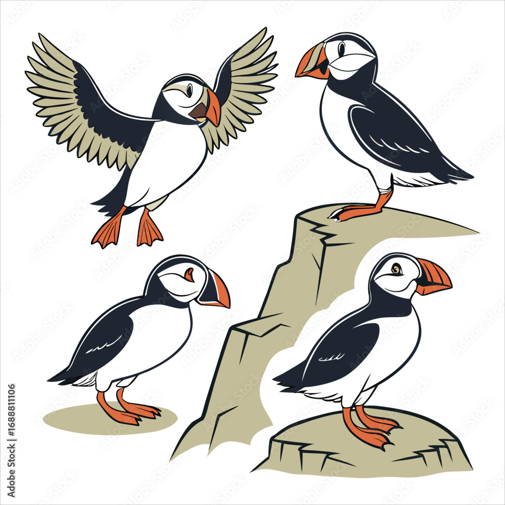 Obraz premium Atlantic puffin silhouettes set. Realistic Fratercula arctica or common puffin birds in different poses. vector birds
