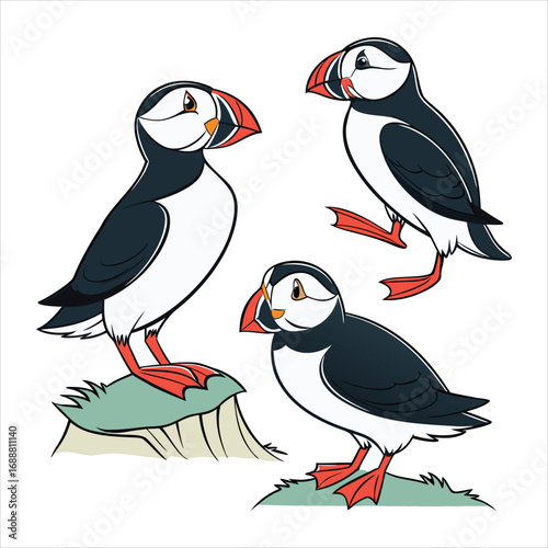 Atlantic puffin silhouettes set. Realistic Fratercula arctica or common puffin birds in different poses. vector birds