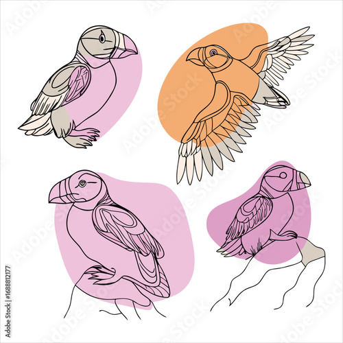 Atlantic puffin silhouettes set. Realistic Fratercula arctica or common puffin birds in different poses. vector birds