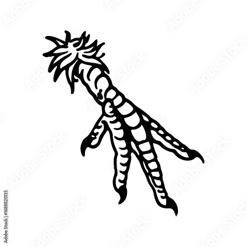 witchy voodoo amulet or talisman illustration