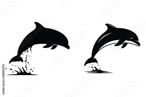 Two black silhouette dolphins leaping from water splashes jumping