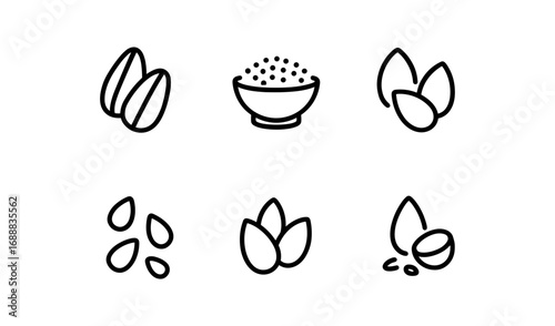 Minimalist nut and seed icons set with linear design