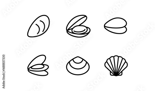 Minimalist line art of seashells and clams: ocean-themed decorative icons