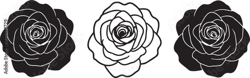 Three stylized roses in black and white on a white background flower flowers