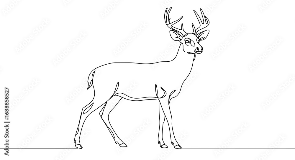 Fototapeta premium Line drawing of a standing deer with antlers on white background 