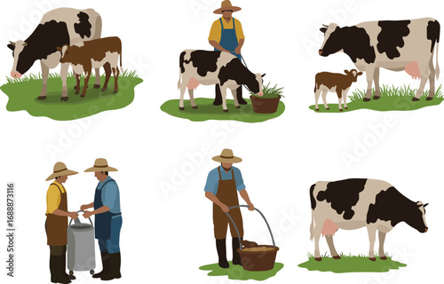 Farmers feeding cows and calves with grass, milking, and managing dairy farm activities in rural agriculture vector illustration set.