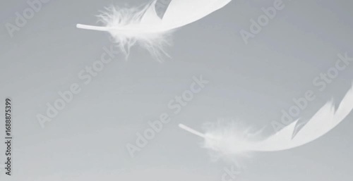 Soft, white feathers slowly falling and rotating against a clean, light-colored background