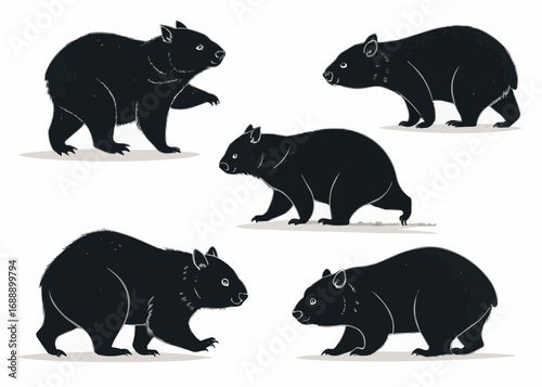 Illustration showing five black wombats in various poses against a white background image scene view