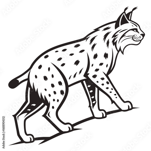 Stylized black and white lynx illustration walking forward