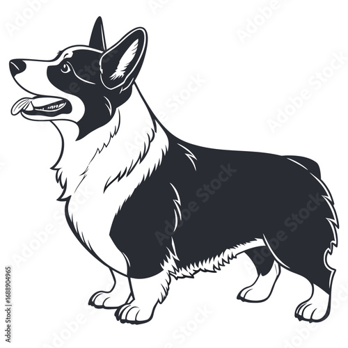 Black and white illustration of a pembroke welsh corgi dog
