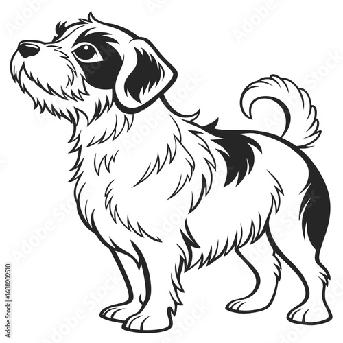 Cute fluffy dog looking up with curiosity and hope