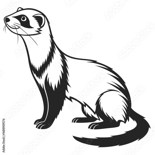 Stylized black and white illustration of a ferret sitting