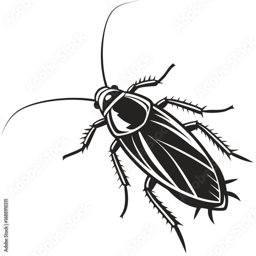 Black and white illustration of a cockroach insect