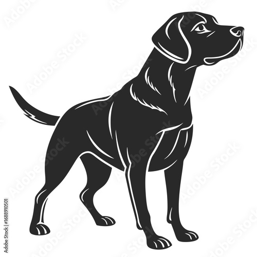 Black silhouette of a labrador retriever dog standing alert