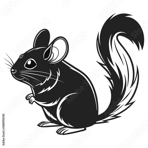 Cute black and white chinchilla cartoon illustration