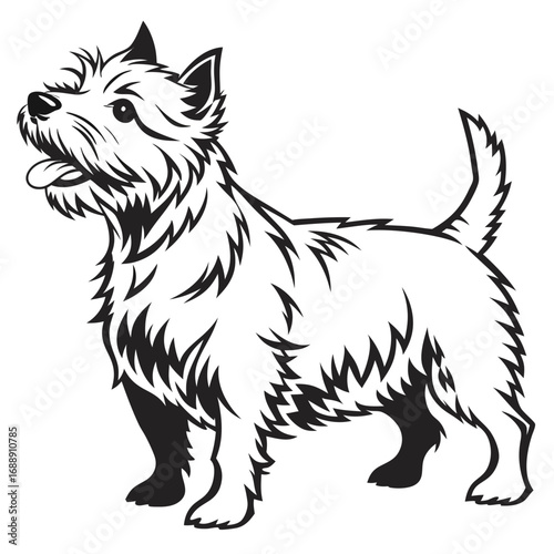 Stylized black and white illustration of a west highland white terrier
