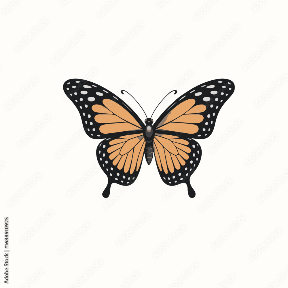Fototapeta premium butterfly on white background