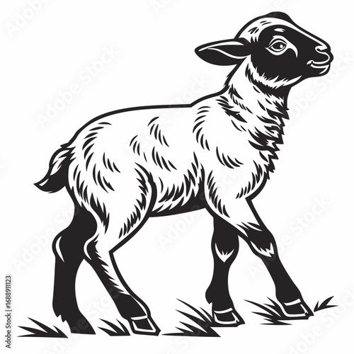 Black and white illustration of a young lamb standing in grass