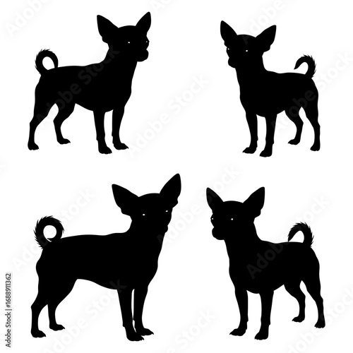 Collection of four black Chihuahua dog silhouettes in different poses. Small pet vector illustrations