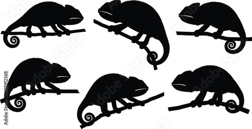 Silhouette chameleons on branches, reptile wildlife illustration, exotic lizard poses, nature animal art, tropical jungle fauna, vector graphic design