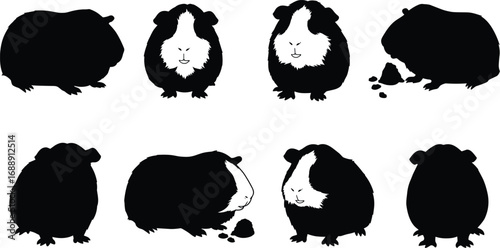 Guinea pig illustration, cute rodent drawing, pet animal sketch, black and white art, feeding behavior, character design, wildlife study, adorable pose