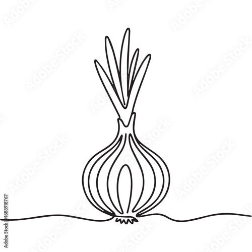 Continuous line of onion .Single one line art of onion , One continuous line illustration of an onion isolated on white background.