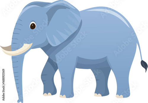 ゾウ