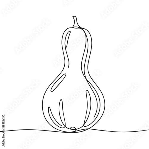 Continuous line of squash .Single one line art of squash , One continuous line illustration of an squash isolated on white background.