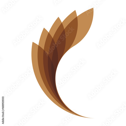 Modern Decorative Feather Shape
