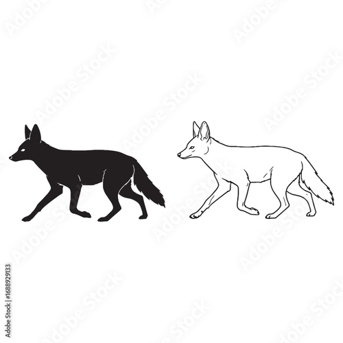 Creative Jackal Silhouette & Jackal Lineart – Jackal Vector Composition with Artistic Precision – Jackal Illustration – Silhouette and Lineart Set of Jackal